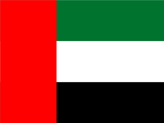 AED Flag
